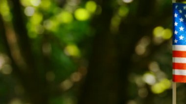 4k. Orman yeşil arka plan, dolly atış Amerikan bayrağı