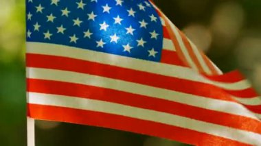 4k. Orman yeşil arka plan, Amerikan bayrağı yakın atış