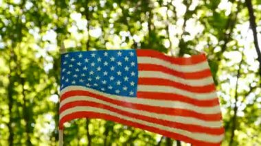 4k. Amerikan bayrağı orman yeşil arka planda. Sembol vurdu