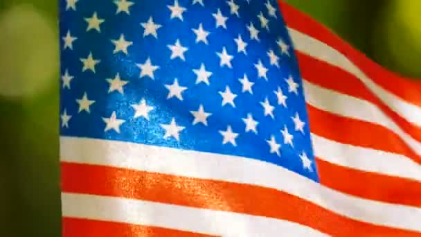 森の緑の背景でアメリカ国旗をクローズ アップ — ストック動画