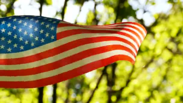 森の緑の背景でアメリカの国旗 ショットのシンボル — ストック動画