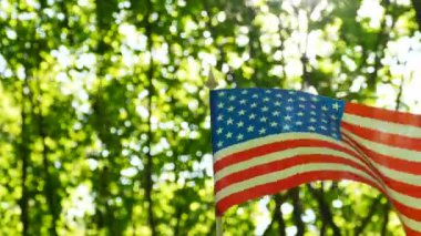 4k. Güneş ışığı ile orman yeşil bluerred arka plan Amerikan bayrağı 