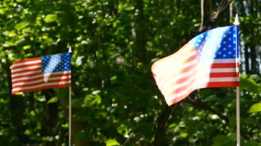  Ağır çekimde iki Amerikan bayrakları güneşli olay yerini kapatın. Yeşil yaprakları arka plan