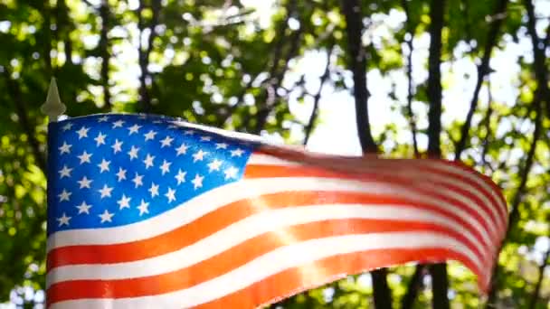 Bandeira Americana Câmera Lenta Fechar Cena Ensolarada Floresta Fundo Verde — Vídeo de Stock