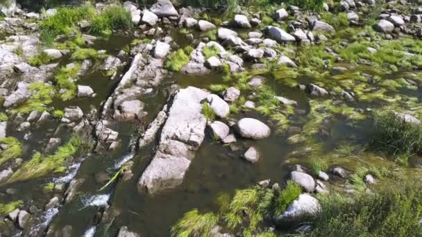 Aérea Vuelo Sobre Rocas Río Vista Superior — Vídeos de Stock