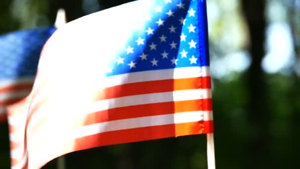 Duas Bandeiras Americanas Câmera Lenta Fechar Ensolarado Wood Dolly Tiro — Vídeo de Stock