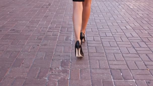 美丽和谐的女性腿高跟沿着街道走 — 图库视频影像