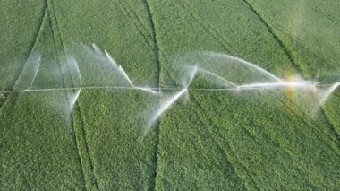 . Sulama tarım sistemi. Su yeşil bitkiler üzerinde Streams. Hasat takımı