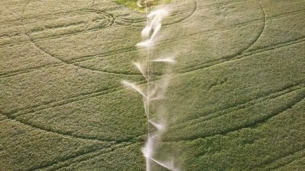 Aéreo Sobre Sistema Agrícola Irrigação Círculo Plantas Harvest Equipe — Vídeo de Stock