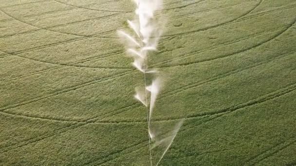 Luchtfoto Irrigatie Landbouwsysteem Cirkel Planten Oogst Team — Stockvideo