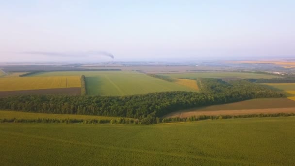 Aerial Campi Agricoli Rurali Pipe Fumogene All Orizzonte — Video Stock