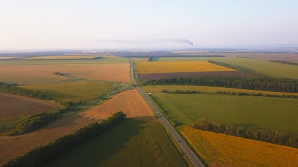 Antenne Landwirtschaftliche Felder Asphaltierte Autobahn Und Pfeife Mit Rauch — Stockvideo