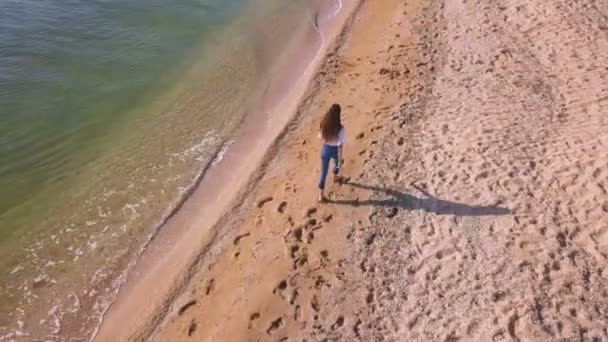 天线年轻女孩在海洋或海边散步 四处飞翔 — 图库视频影像