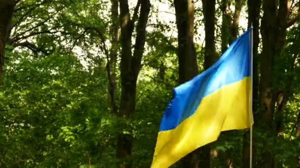 Ukrainische Flagge Holzwellen Wind — Stockvideo