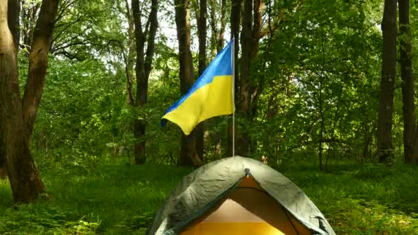 Małe Turystyczne Camp Namiot Ukraińską Flagę Drewnie — Wideo stockowe