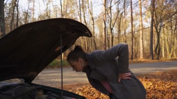 車のトラブル 魅力的な若い女性 混乱感情 タッチ ゲージ 安定したショット — ストック動画