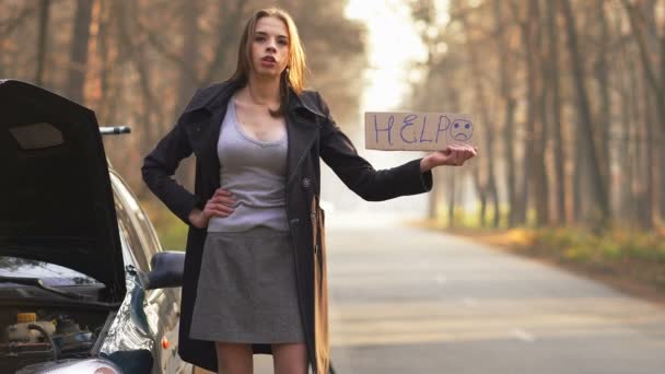 Problemas Carro Atraente Jovem Mulher Sexy Pedir Ajuda Com Cartaz — Vídeo de Stock