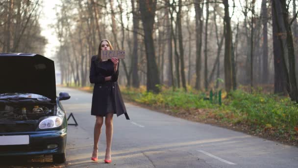 Atraente Jovem Chateado Mulher Pedir Ajuda Com Cartaz Problemas Rodoviários — Vídeo de Stock