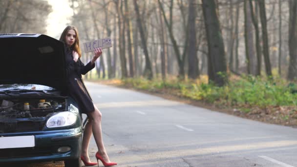 Attraktive Junge Sexy Frau Emotional Hilfe Mit Plakat Bitten Auto — Stockvideo