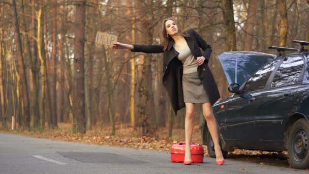赤いかかとの高い靴での セクシーな若い女性は ポスターに助けを求めます ガソリンの制限に達した — ストック動画