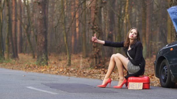 Сексуальна Молода Жінка Чекає Допомогу Плакатом Просить Бензин Червоною Каністрою — стокове відео