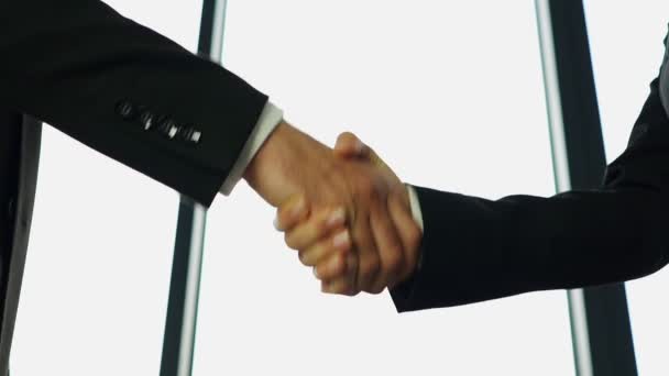 つのビジネス パートナー 男と女 会うときに 手を振る スローモーション — ストック動画
