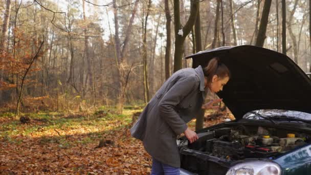 Jonge Mooie Vrouw Auto Problemen Emoties Van Meisje Gestage Schot — Stockvideo