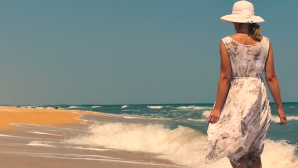 Donna Romantica Vestito Cappello Piedi Sul Litorale Spiaggia Vista Posteriore — Video Stock