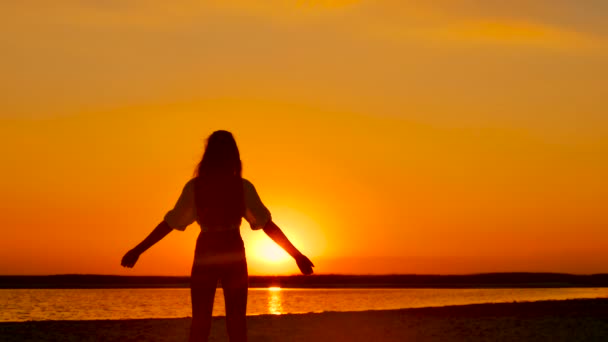 Silhouette Giovane Ragazza Alzando Mani Vicino Alla Costa All Aperto — Video Stock