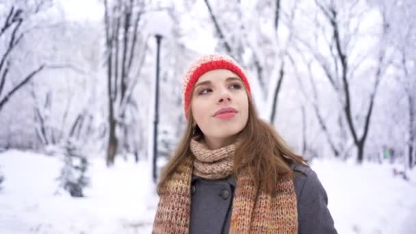 冬季美女 走着微笑着的漂亮的女人戴着红帽子走在公园里 稳定的拍摄 — 图库视频影像