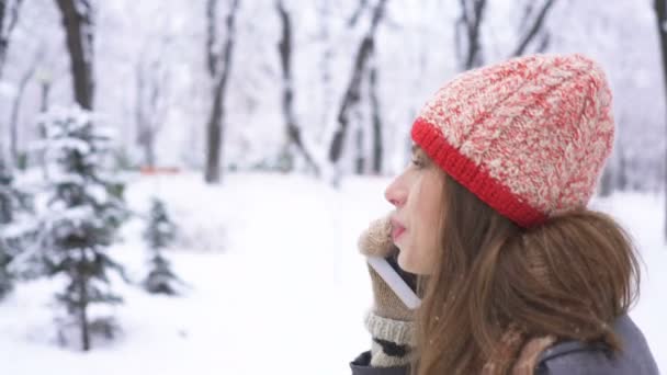 Hübsche Junge Frau Mit Rotem Hut Winterpark Spricht Smartphone Und — Stockvideo