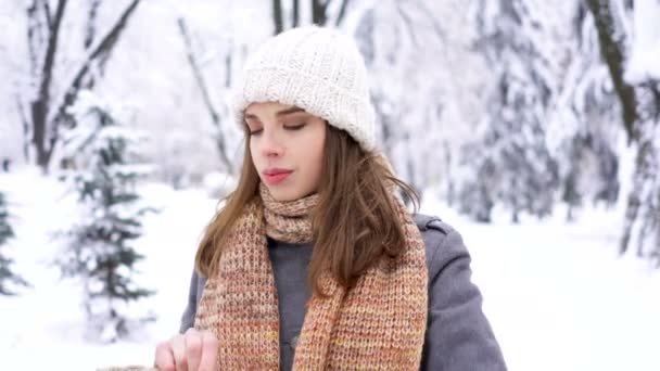 Pretty Jovem Mulher Parque Cidade Inverno Colocar Mitenes Sorrir Câmera — Vídeo de Stock