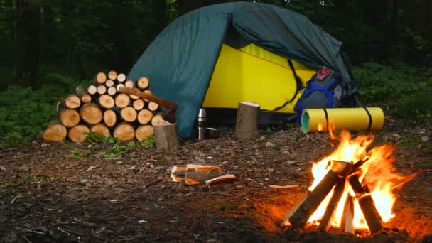 Soirée Touristique Avec Feu Camp Feu Camp Plein Air Bois — Video