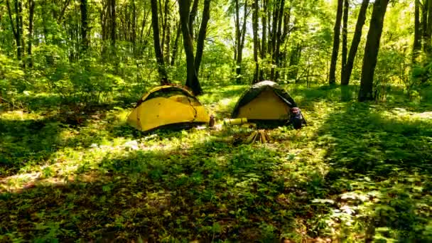 Deux Tentes Touristiques Dans Bois Les Ombres Des Nuages Avec — Video