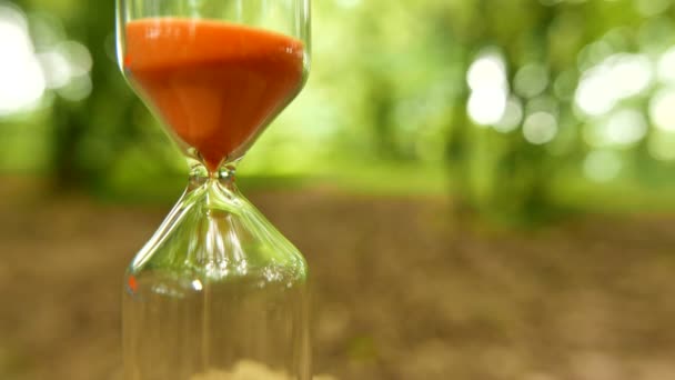 Sand Flows Glass Hourglass Green Background Close Shot Time Lapse — Stock Video