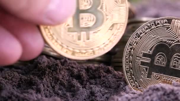 Handen Man Sätta Bitcoin Mynt Grand — Stockvideo