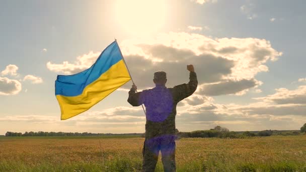 Soldat Mit Ukrainischer Flagge Und Hand Hand Gegen Den Abendhimmel — Stockvideo