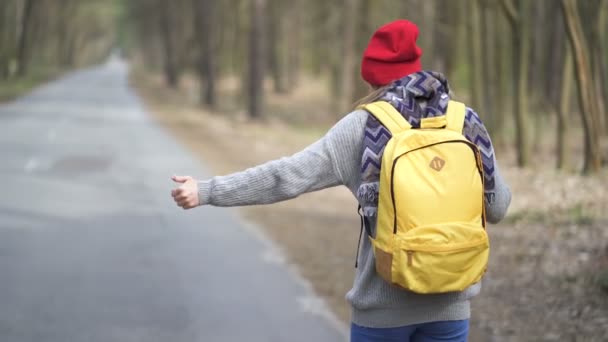 Автостоп Дівчина Порожній Дорозі Лісі Палець Вгору Вид Ззаду Стійкий — стокове відео