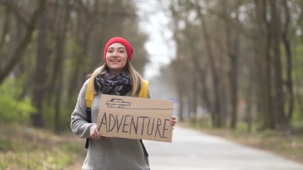 Pretty Hitchhiking Chica Permanecer Carretera Madera Con Cartel Aventura — Vídeo de stock