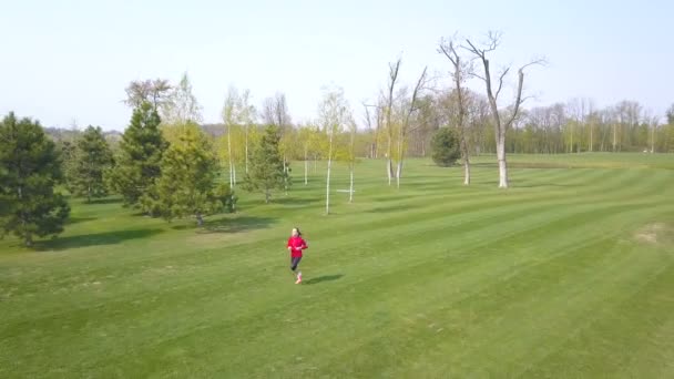 Lotnicze Biegacz Kobieta Biegać Zielonym Polu Zespół Sportowy Fitness — Wideo stockowe