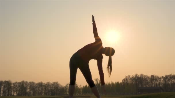スレンダーな女性のシルエットは スポーツ演習を行い 日の出の太陽に対する体のウォームアップ — ストック動画