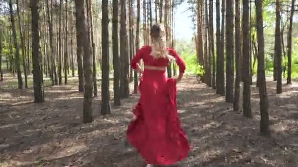 Abilità Ballerina Donna Abito Rosso Ballare Nel Paesaggio Forestale Salti — Video Stock