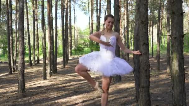 森の中でチュチュダンスで魅力的な女性バレリーナをスキル 脚アップ バレエダンスの美しさ — ストック動画