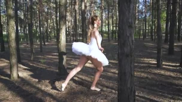 Attraente Abilità Donna Ballerina Tutù Ballare Con Salti Nella Foresta — Video Stock