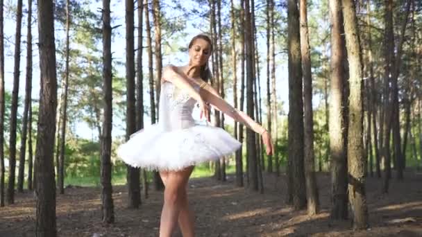 漂亮的技巧女子芭蕾舞演员在森林中跳舞 芭蕾舞蹈即兴之美 — 图库视频影像