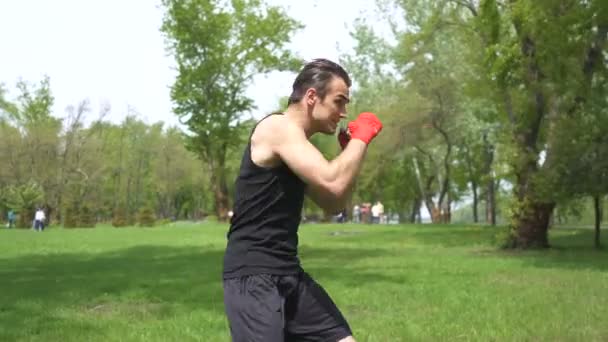Homem Musculoso Boxeador Treinando Com Sombra Parque Cidade Boxe Livre — Vídeo de Stock