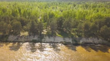 4k Hava. Toprak su ve ahşap ile kıyı şeridi üzerinde fly. Yanal uçuş