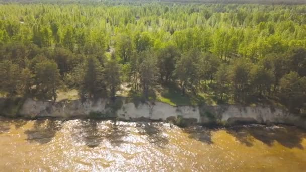 Aerial Летите Над Береговой Линией Грязной Водой Деревом Боковой Рейс — стоковое видео