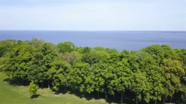 4k . Hava. Denize veya göle doğru ağaçlar ile yeşil çayır üzerinde fly. Manzara