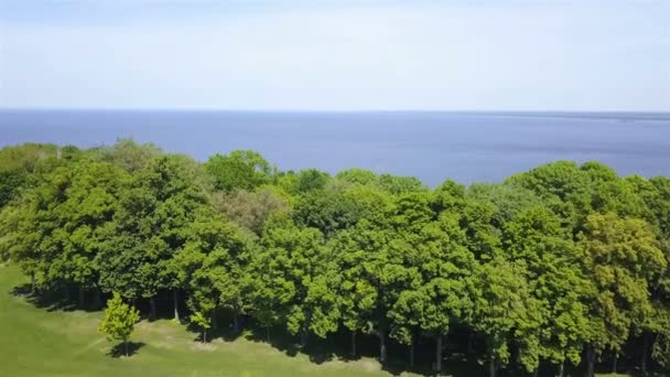 4K, Aérien. Survolez une prairie verdoyante avec des arbres vers la mer ou le lac. 